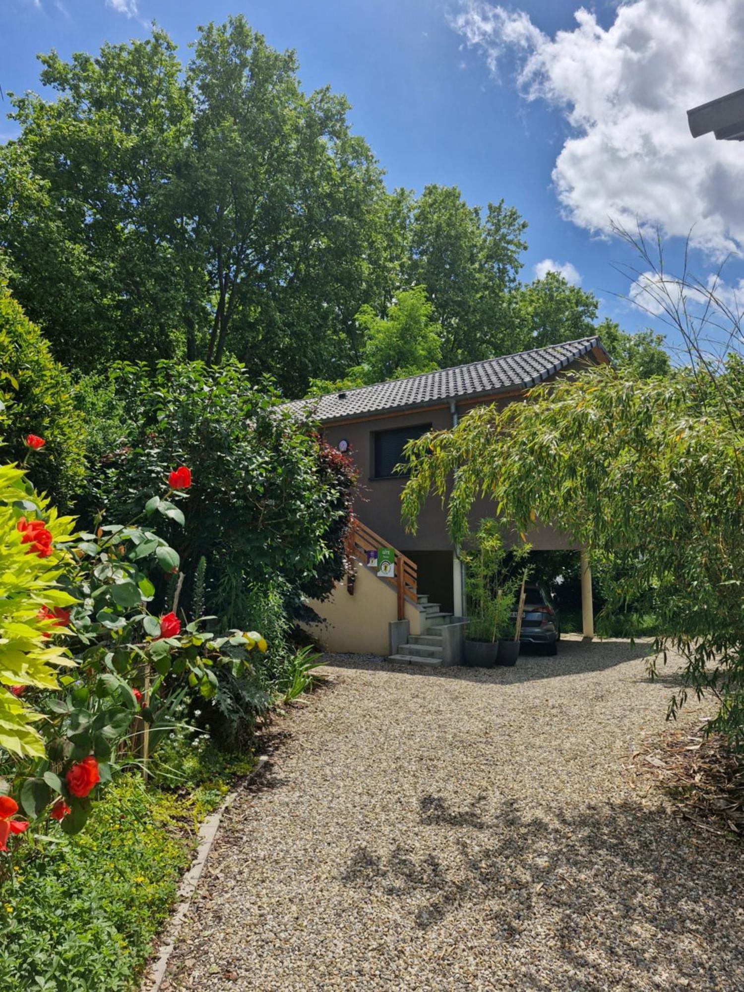 Gite-Appart Com' "Des Cimes Et Jardin" Ількірш-Ґраффенстаден Екстер'єр фото